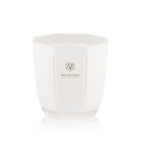 Dr. Vranjes Fernse Ginger Lime Scented Candle - 200g